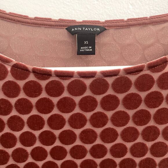 Ann Taylor | Mauve Polka Dot Velvet Top Flutter Sleeve - Picture 4 of 6